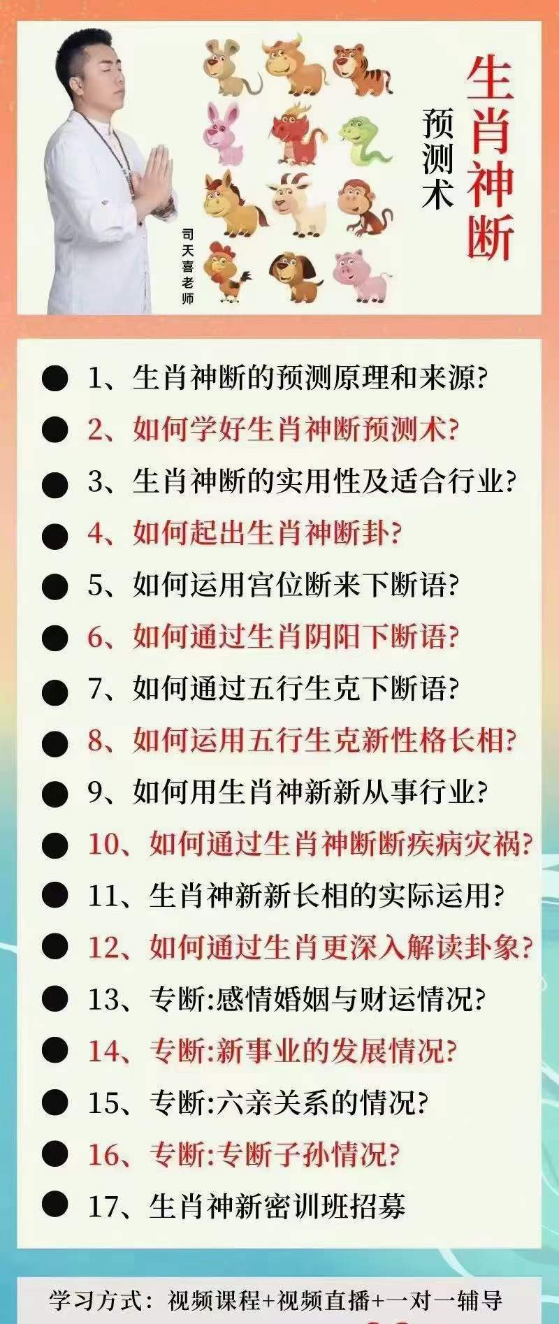 司天喜 生肖神断精华班 17集