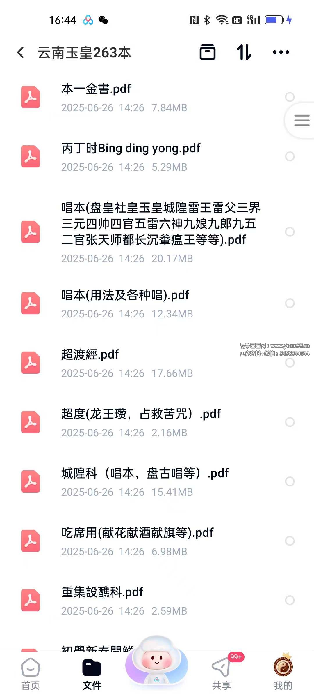 云南玉皇263本