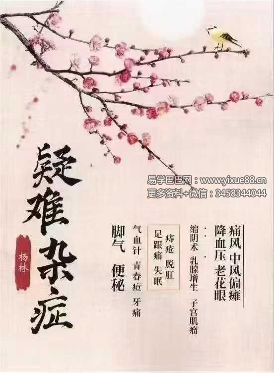 杨林 五十项疑难杂症38页