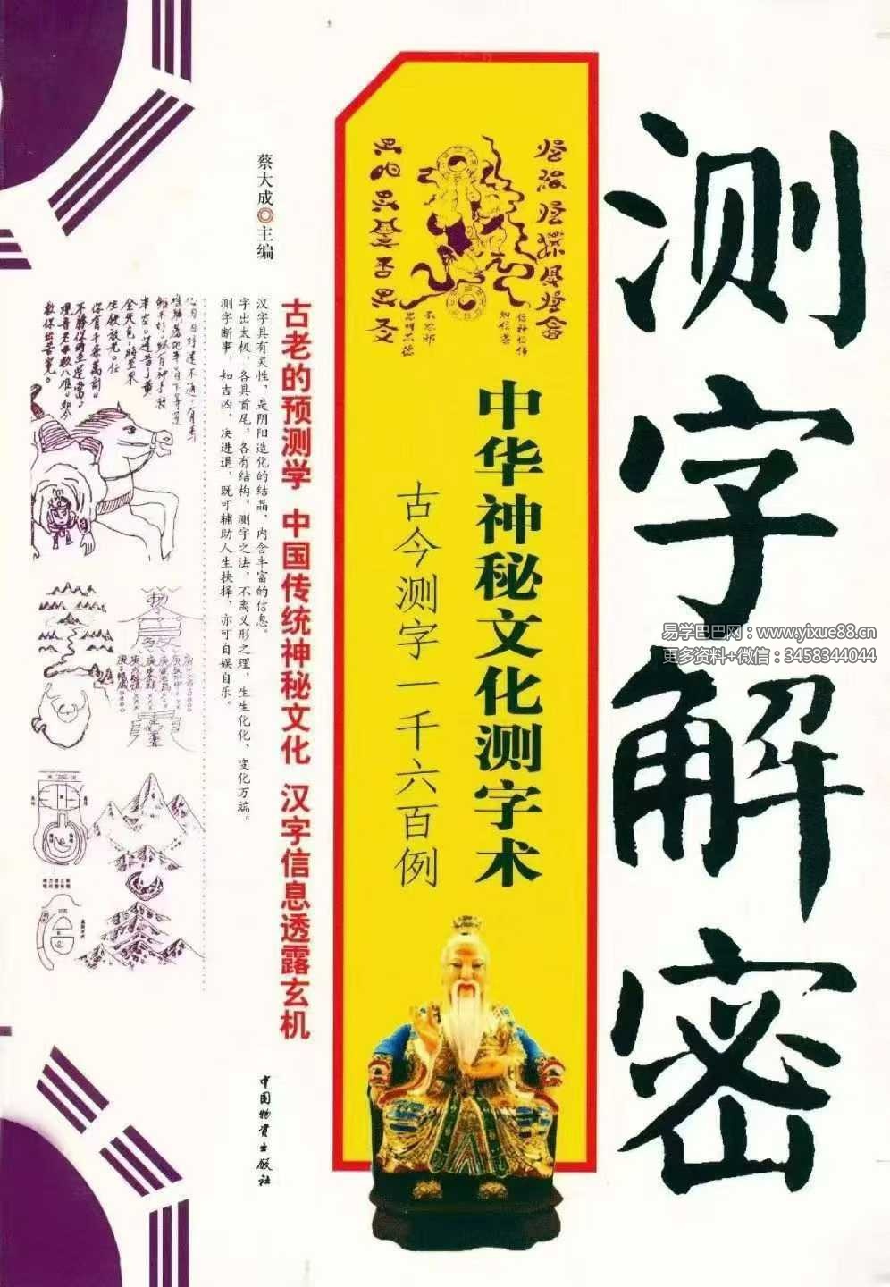 蔡大成《测字解密》中华神秘文化测字术 古今测字一千六百例384页