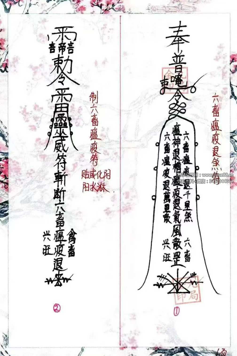 金九局 古法破解《堂口布局、堂口仙家圈人圈财》55页