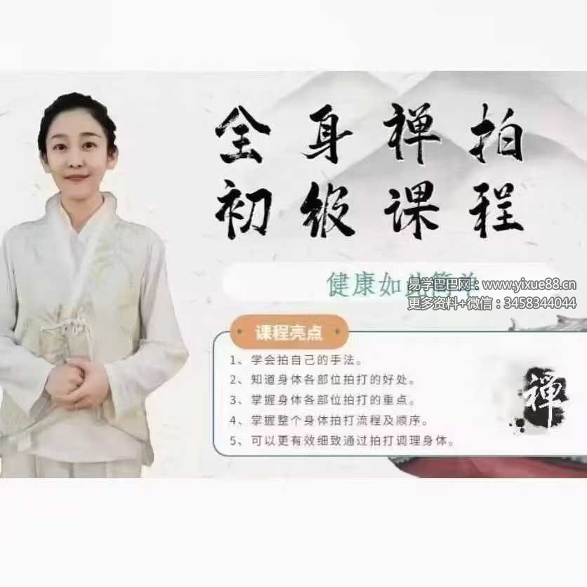 全身禅拍初级课程27集