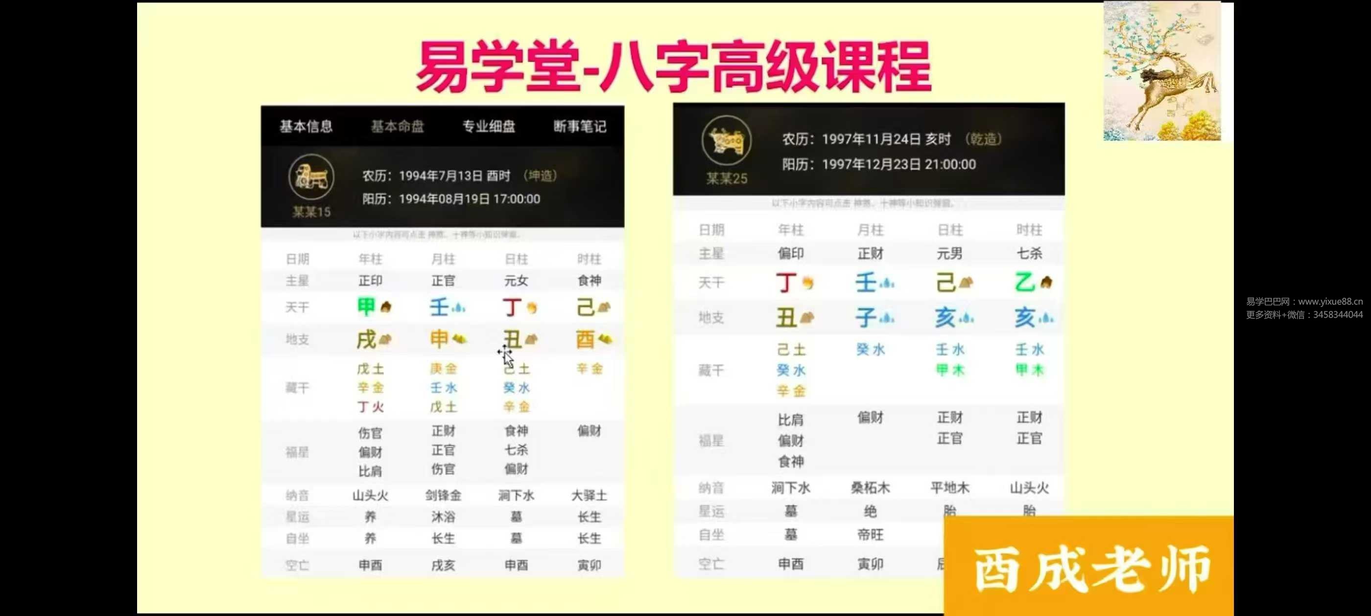 酉成《八字高级进阶课程》 42集
