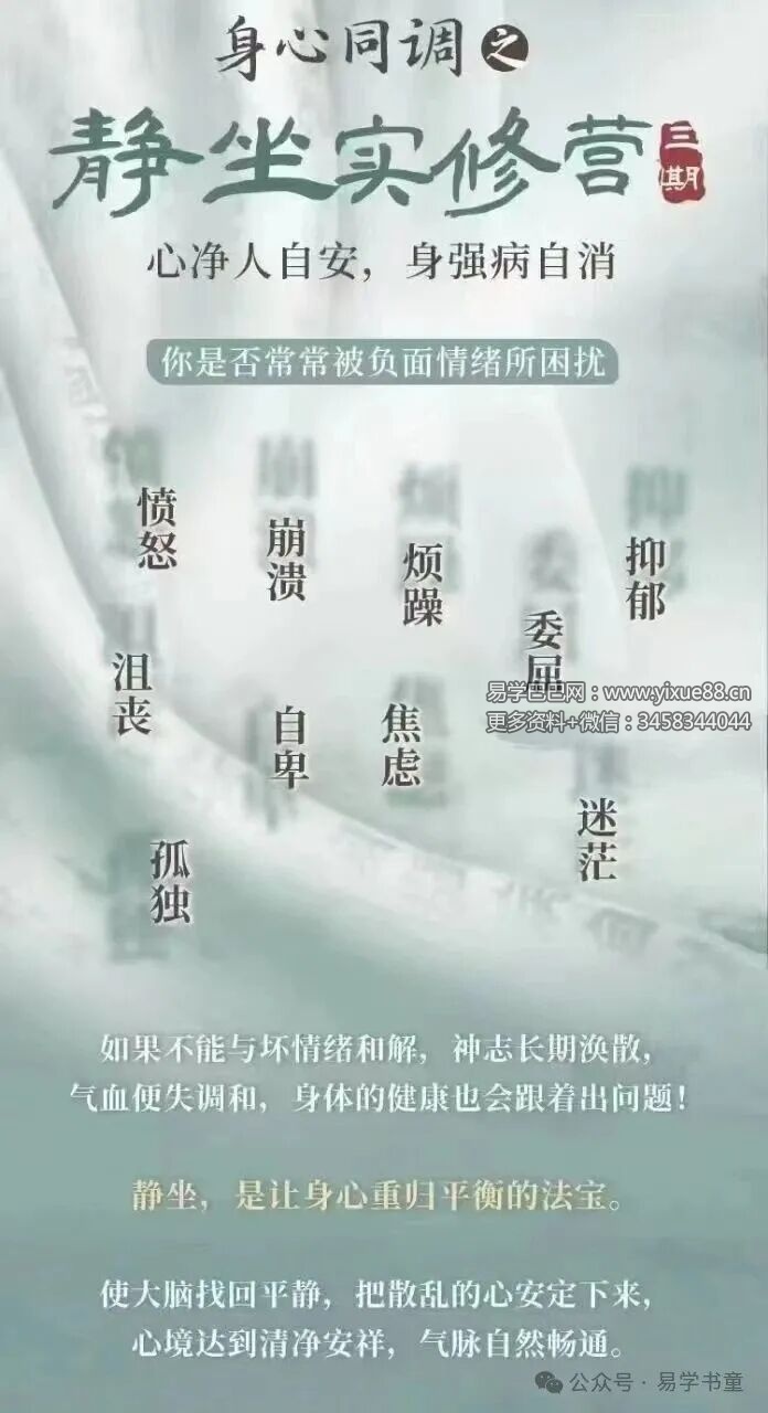 徐泊涛丨身心同调之静坐实修营（线上）三期