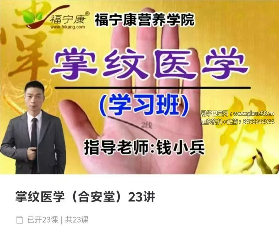 钱小兵 掌纹医学（合安堂）23讲