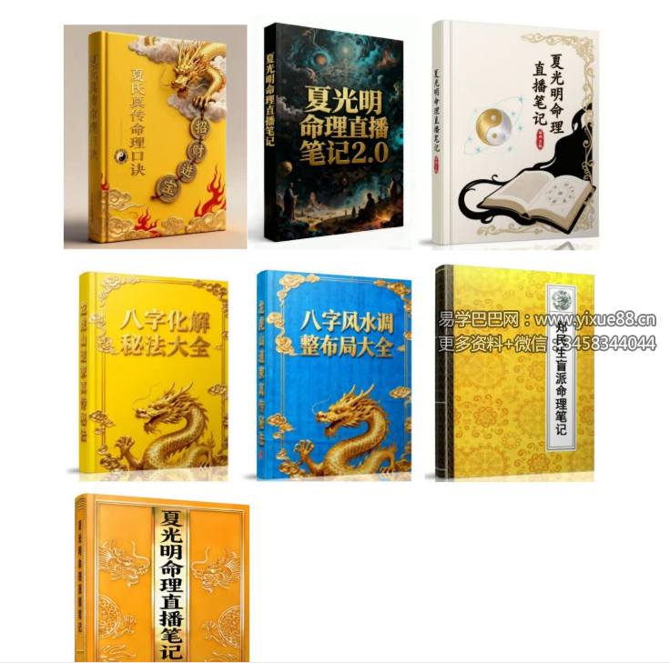 夏光明 光明师《秒断职业及天赋所在，以及五行喜忌对应的行业职业方位和职业取财的量级，负债、十方、百万、千万、亿、十亿，三六九等精断》 【社群课程】视频1集（30分钟）